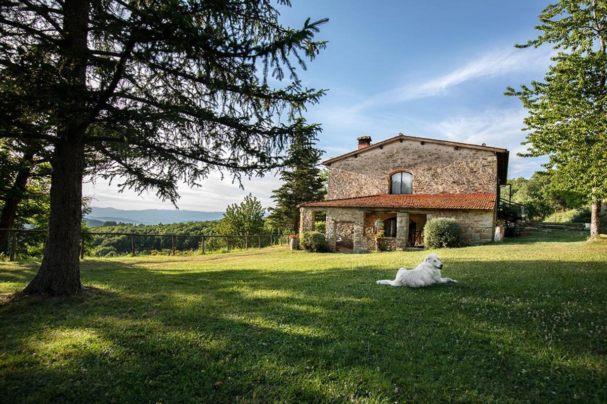 PiancasaleMia Apartment Londa Bagian luar foto